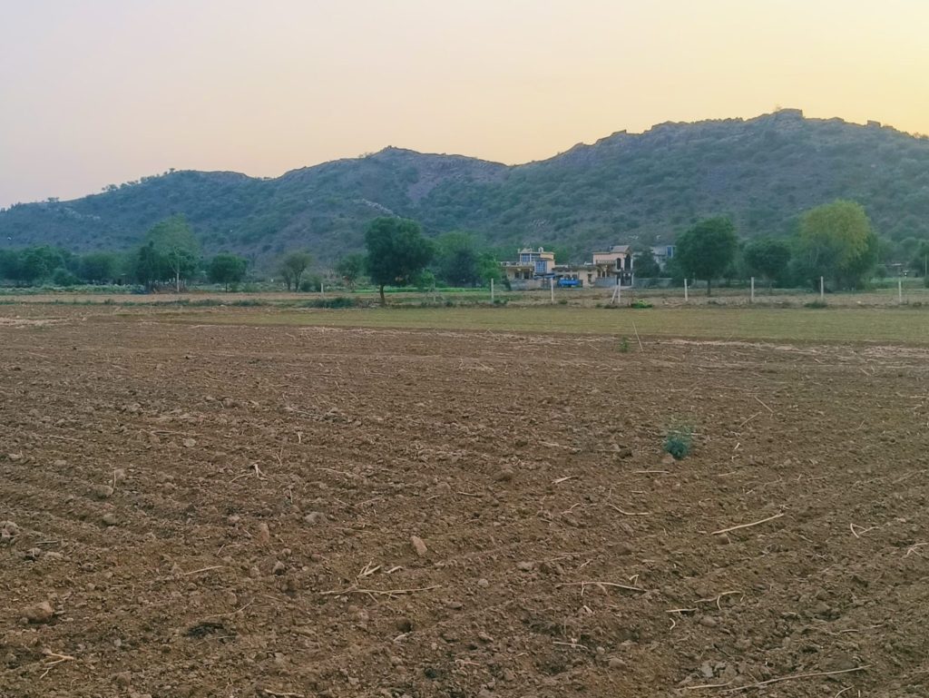 Why You Should Buy a Farmhouse & What to Know Before Investing