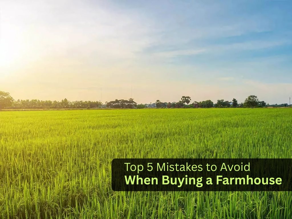 Top 5 Mistakes to Avoid When Buying a Farmhouse